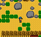 Harvest Moon GB (Europe) In game screenshot
